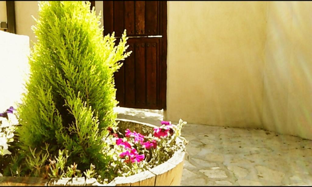 El Jardincillo Guest House Robledo de Chavela Exterior foto